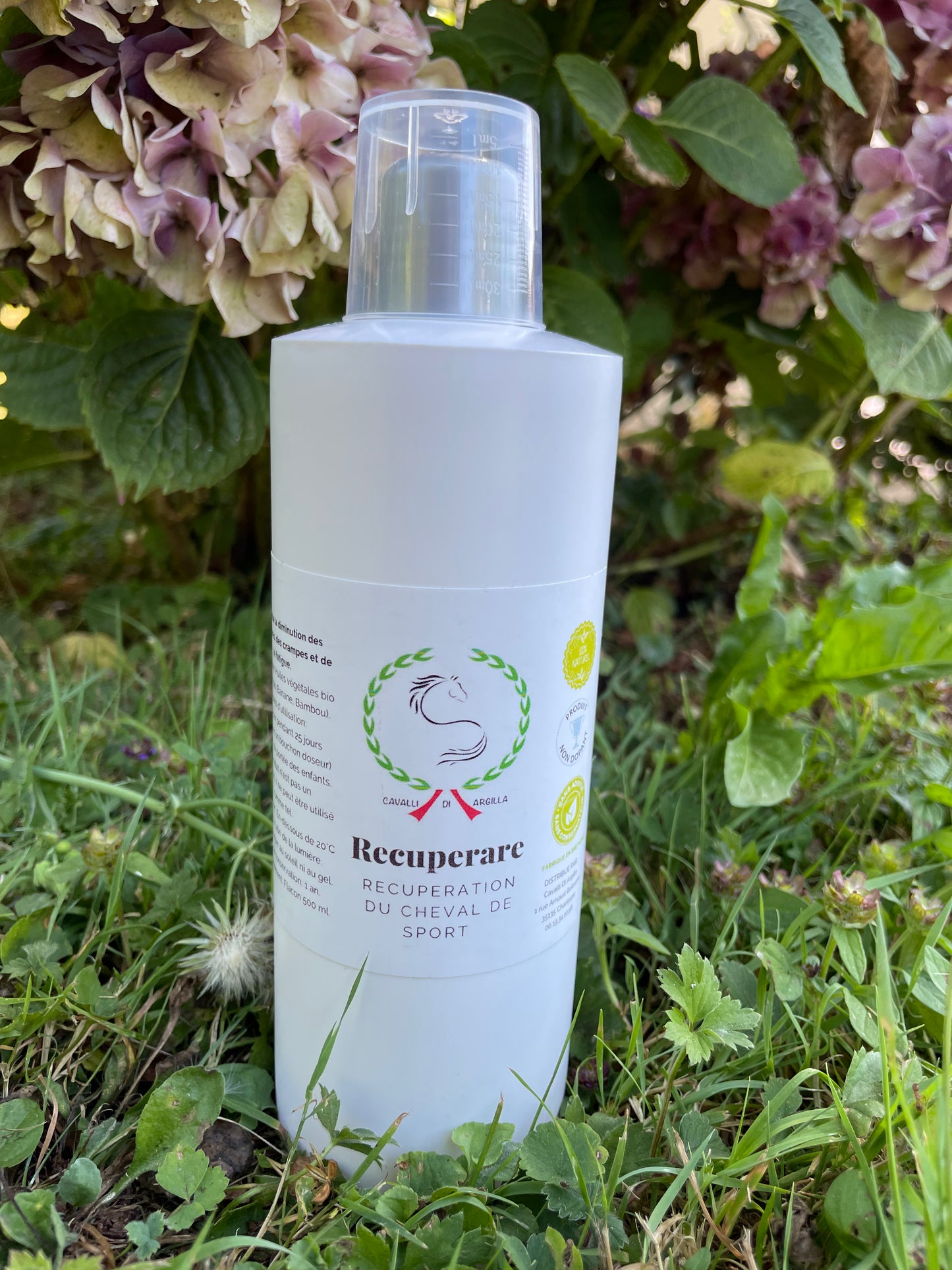 Recuperare - Récupération