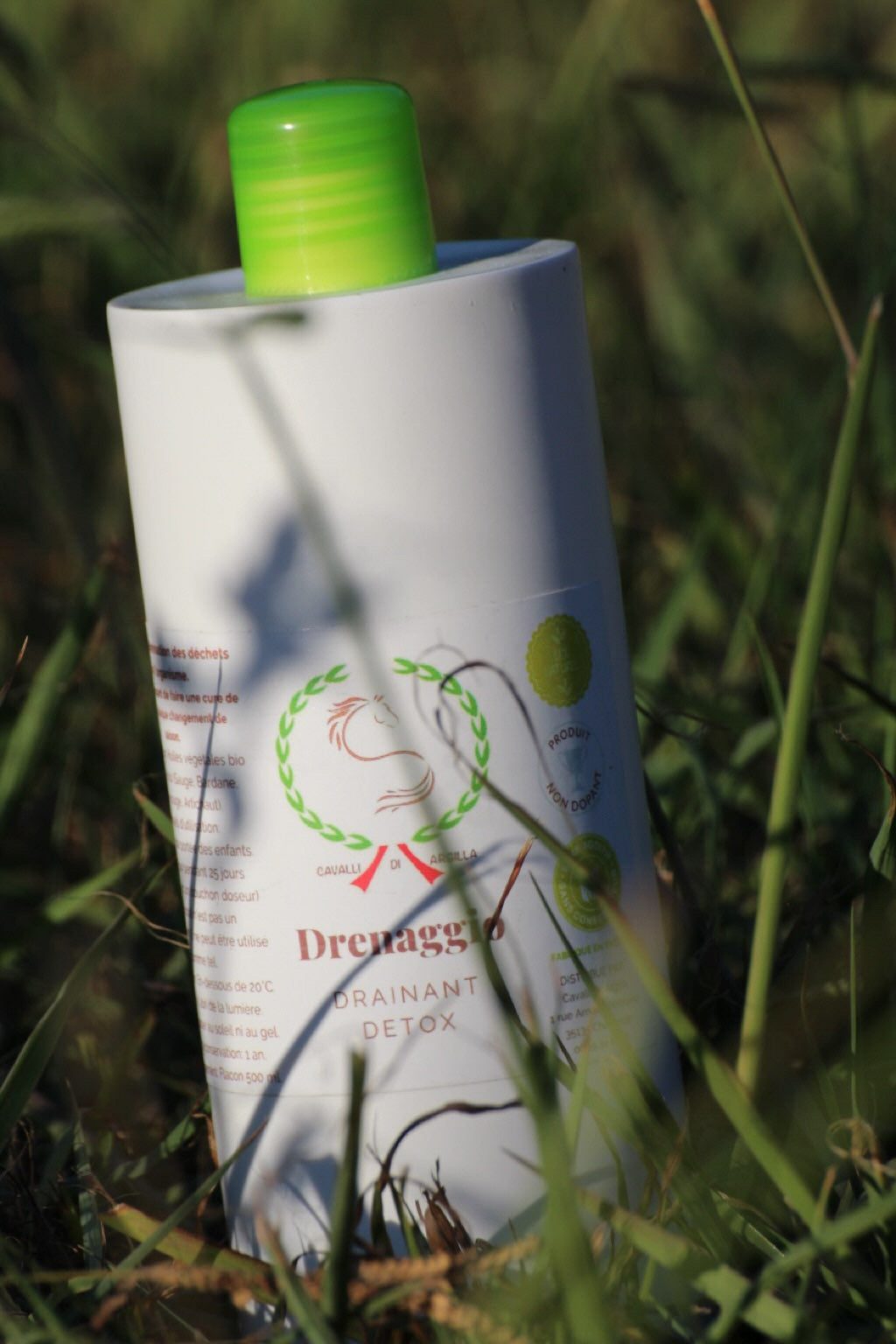 Drenaggio - Drainant