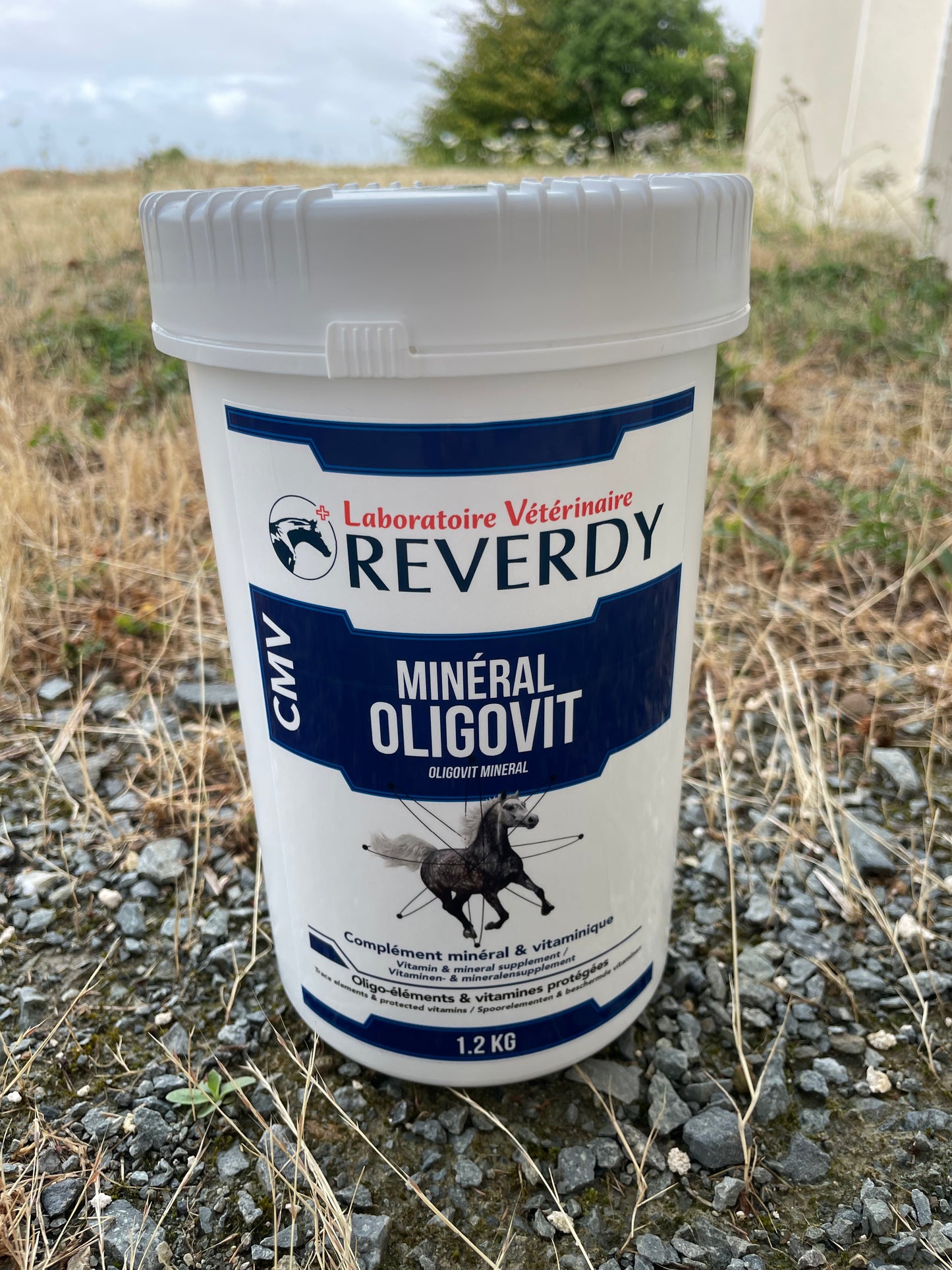 Minéral Oligovit