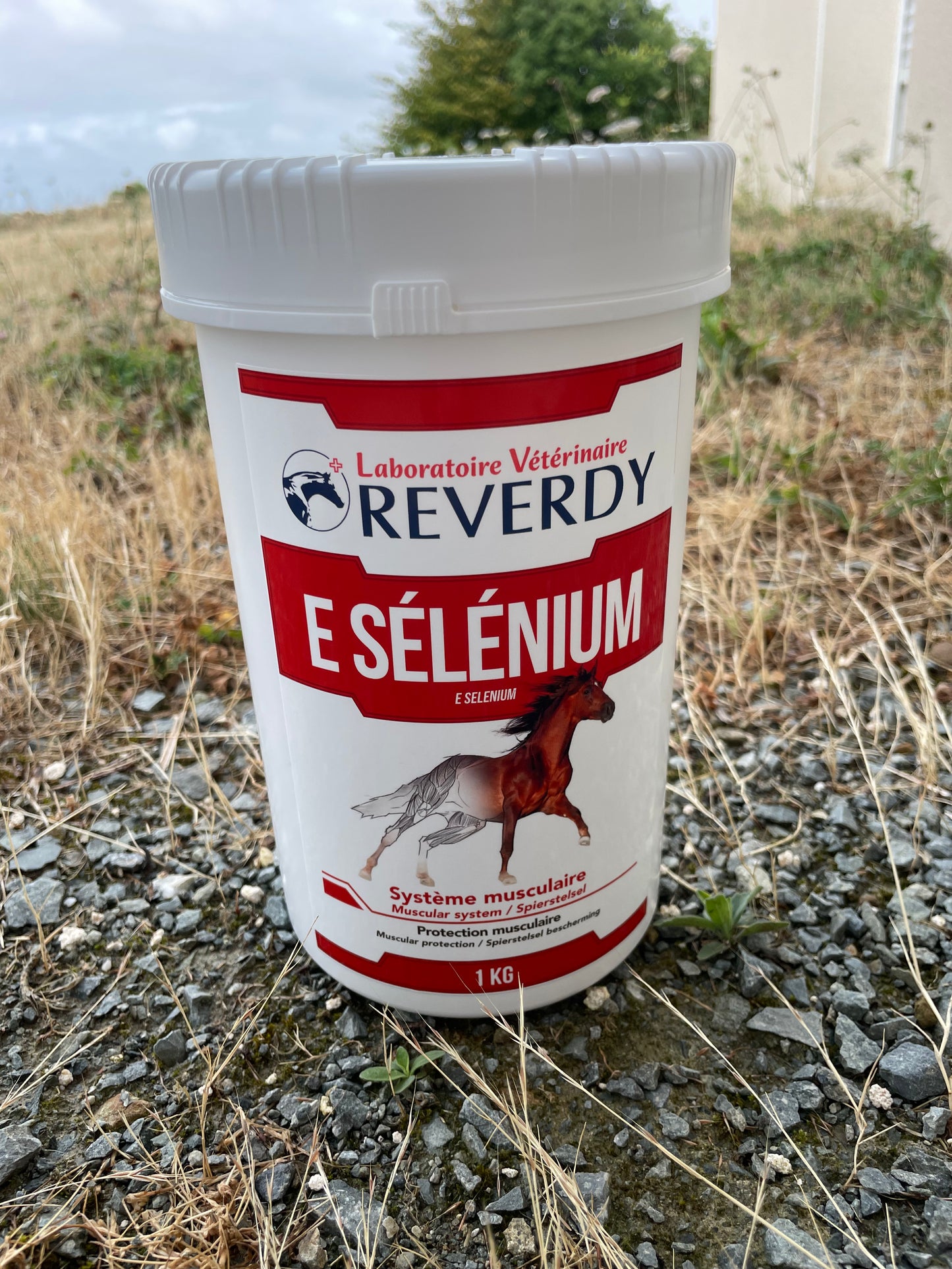 E Sélénium