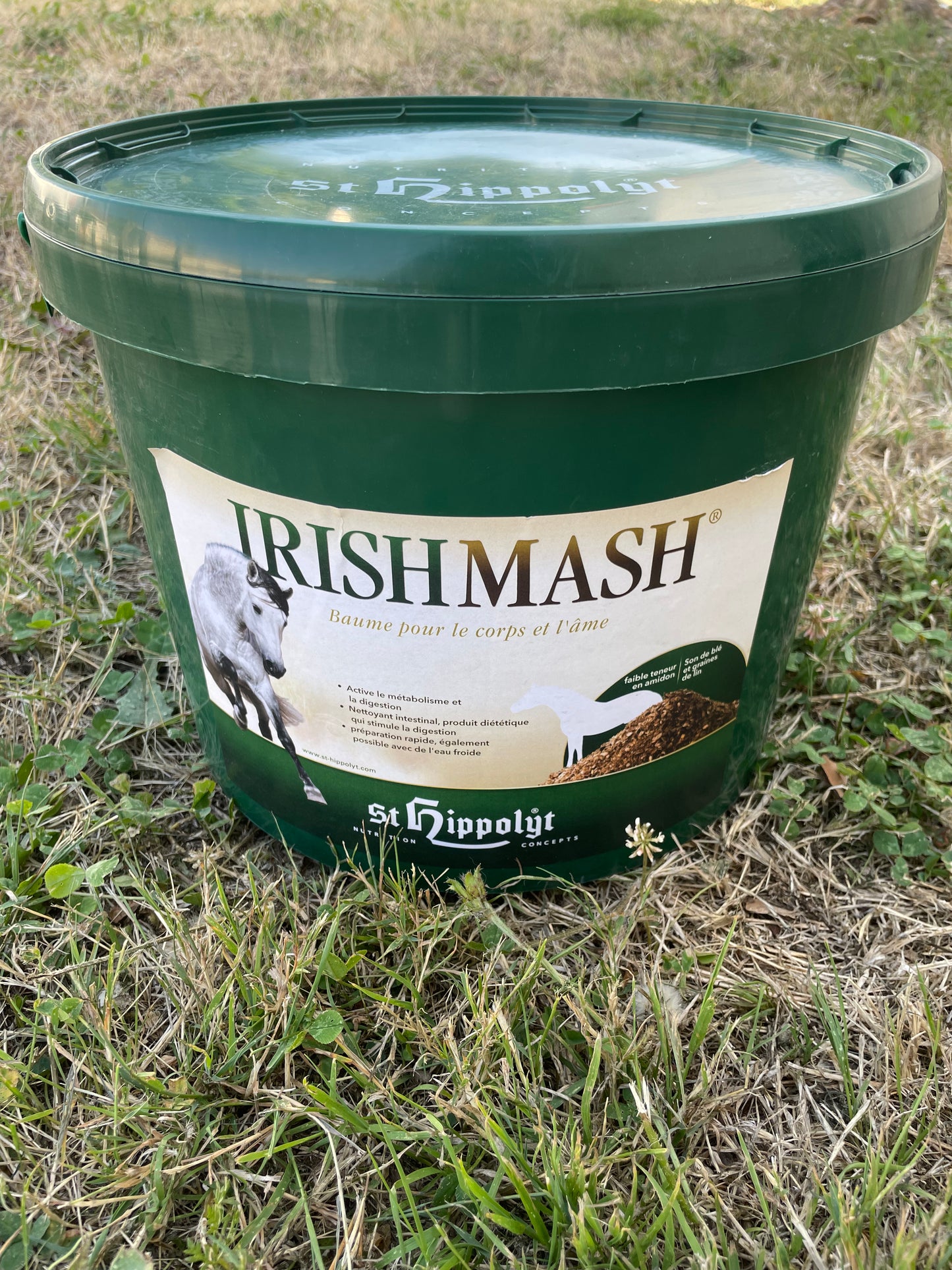 Irish Mash