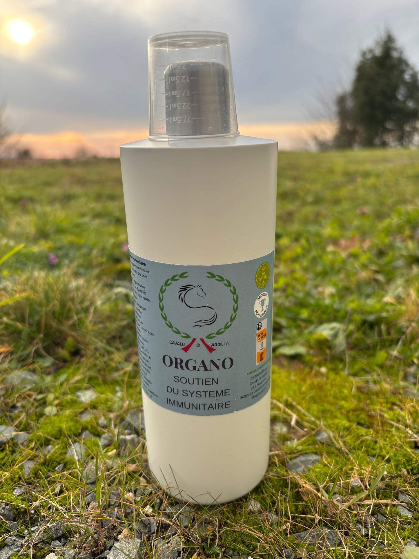 Organo - Système immunité