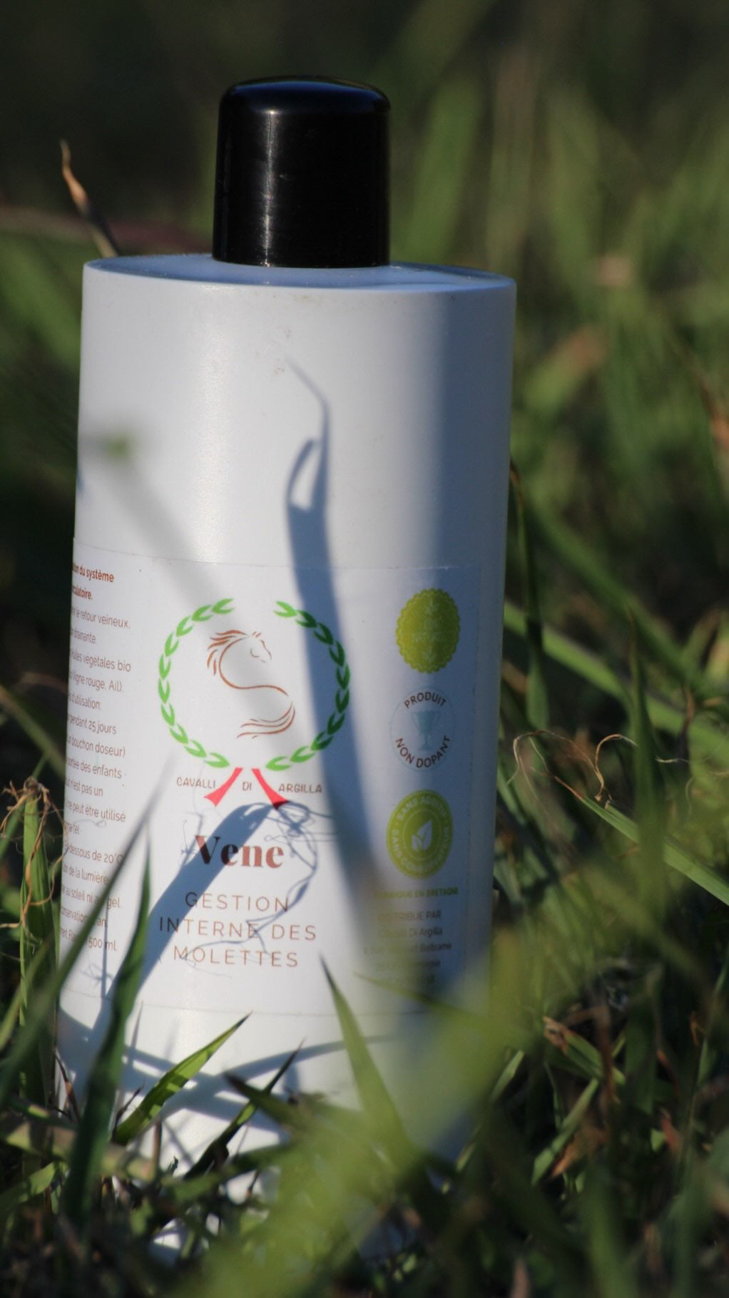 Vene - Système circulatoire