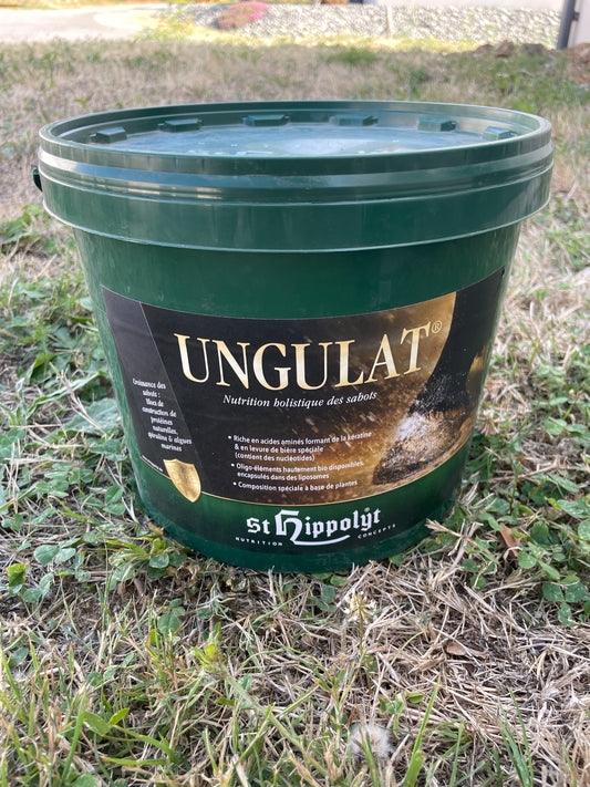 Ungulat