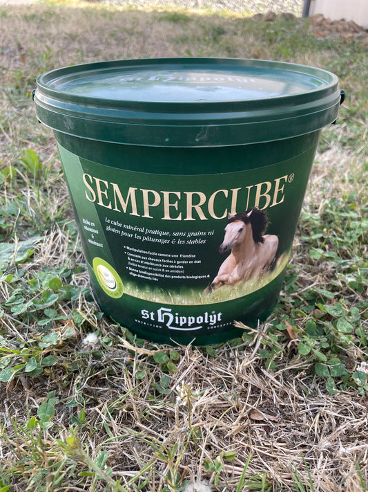 SemperCube