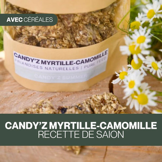 Candy’z Myrtille Camomille