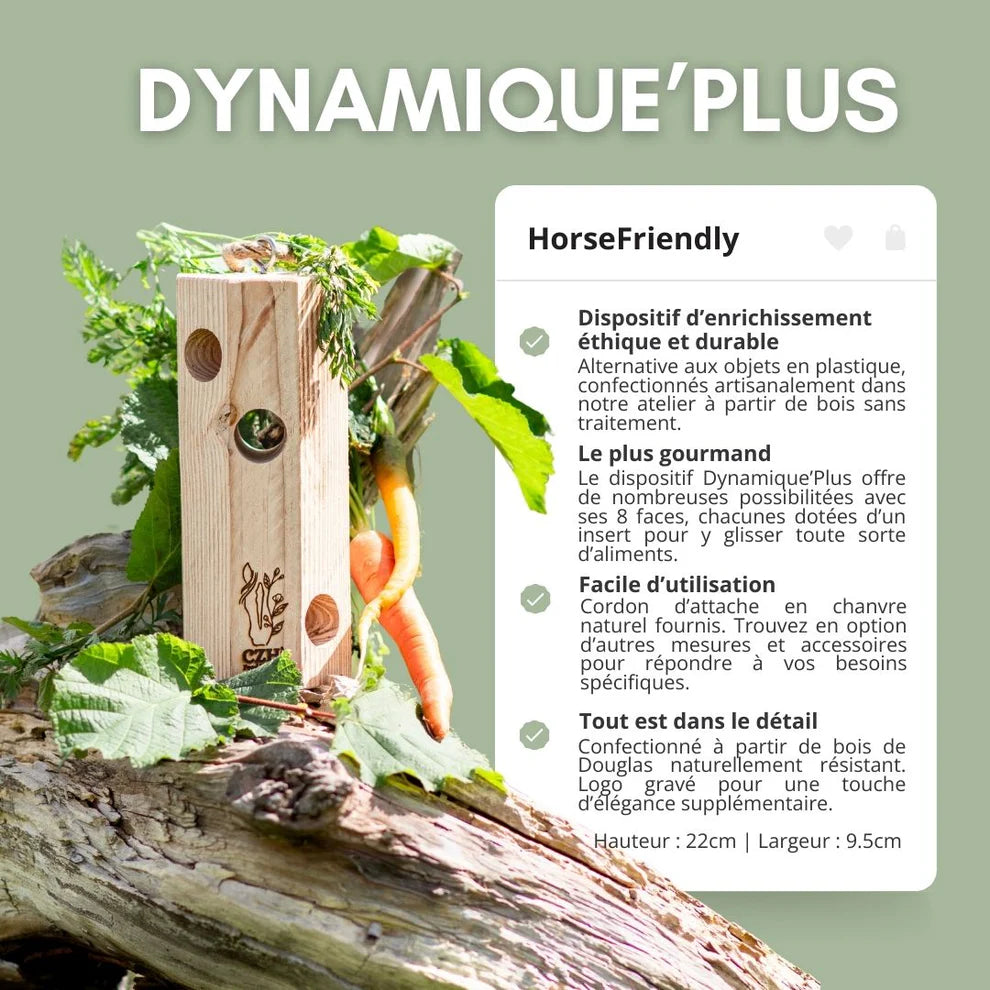 Dynamique’Plus