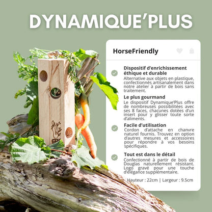 Dynamique’Plus