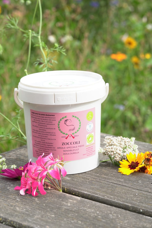 Zoccoli - Argile pieds