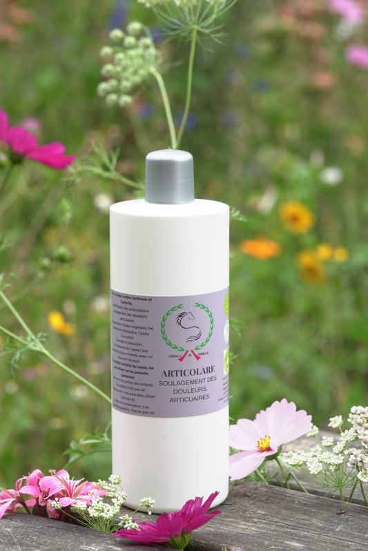 Articolare - Confort articulaire