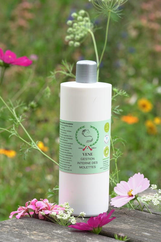 Vene - Système circulatoire