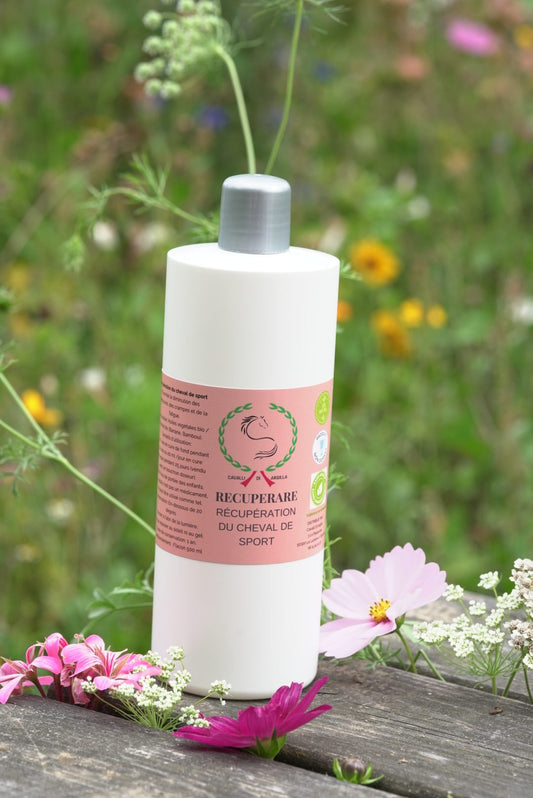 Recuperare - Récupération