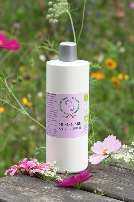 Muscolare - Anti fatigue