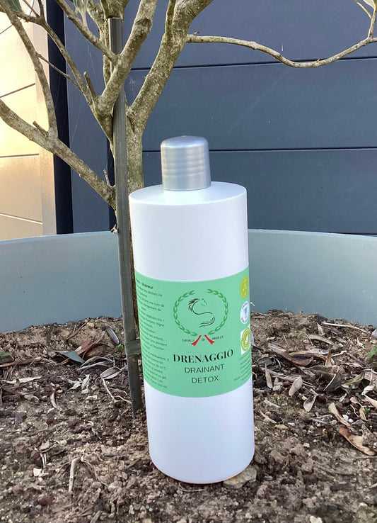 Drenaggio - Drainant