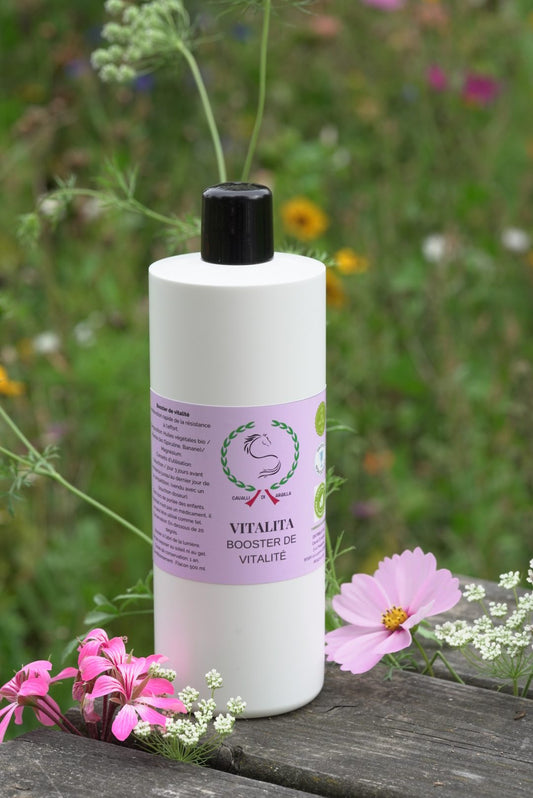 Vitalita - Booster de vitalité